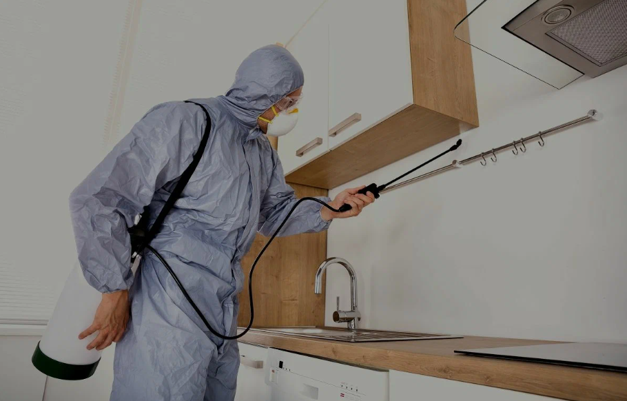 Shafter pest managment